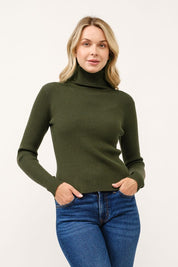 Arden Ribbed Turtleneck Sweater