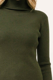 Arden Ribbed Turtleneck Sweater