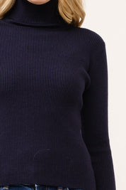Arden Ribbed Turtleneck Sweater