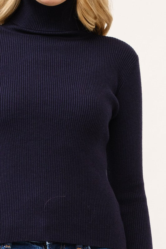 Arden Ribbed Turtleneck Sweater