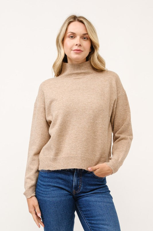 Elara Soft Turtleneck Pullover