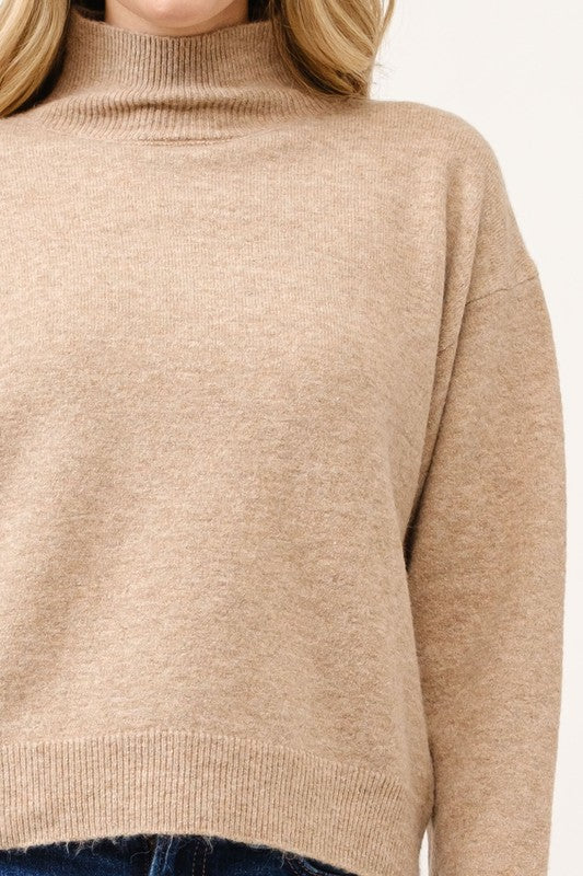 Elara Soft Turtleneck Pullover