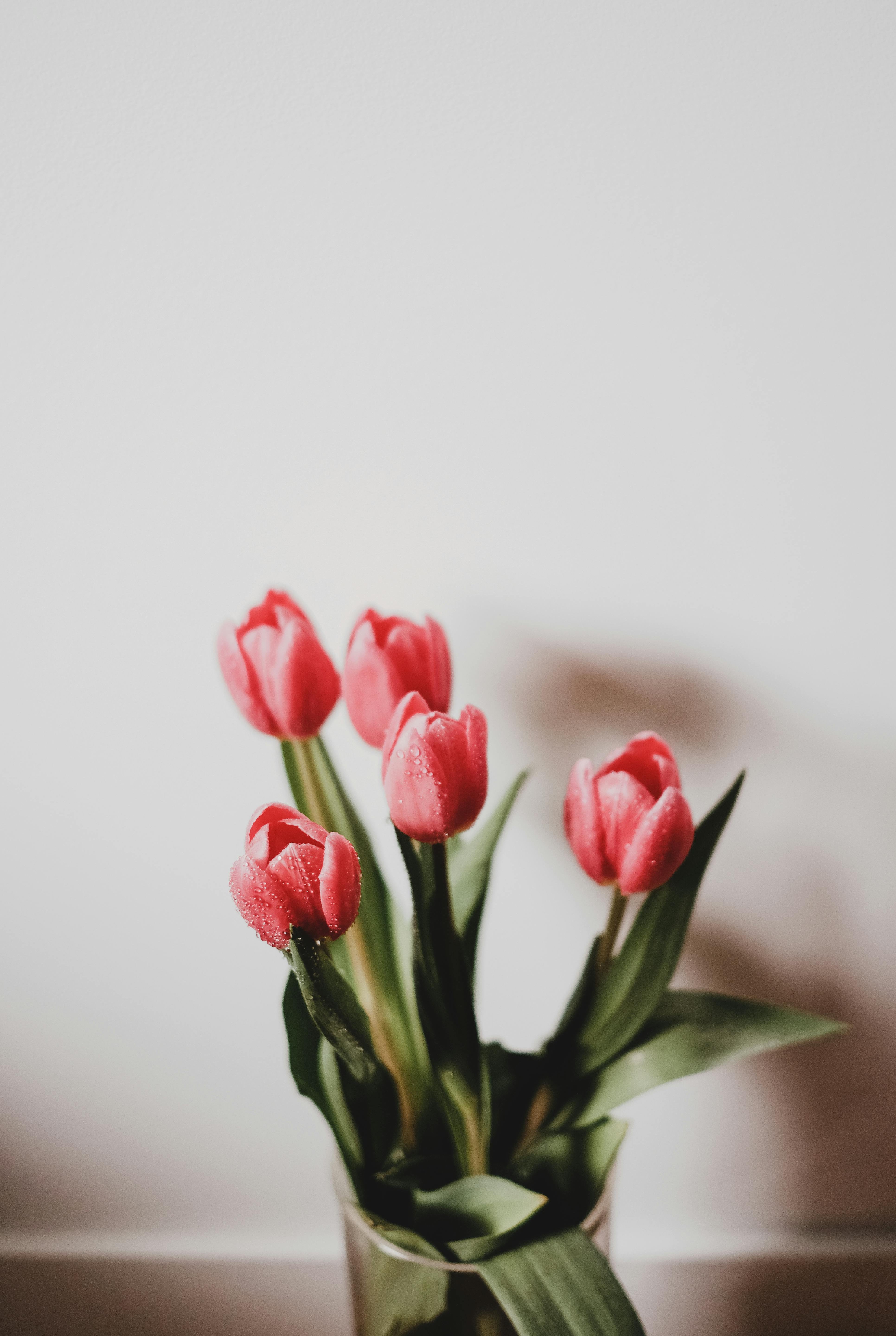 pexels-valeriiamiller-4726107.jpg