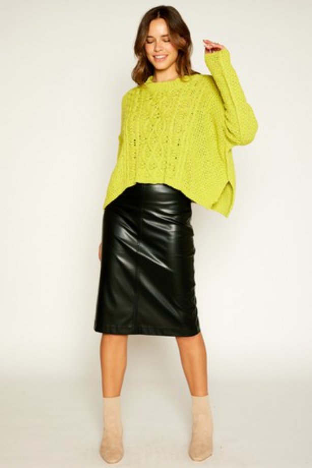 Petra Faux Leather Skirt - Style Bar